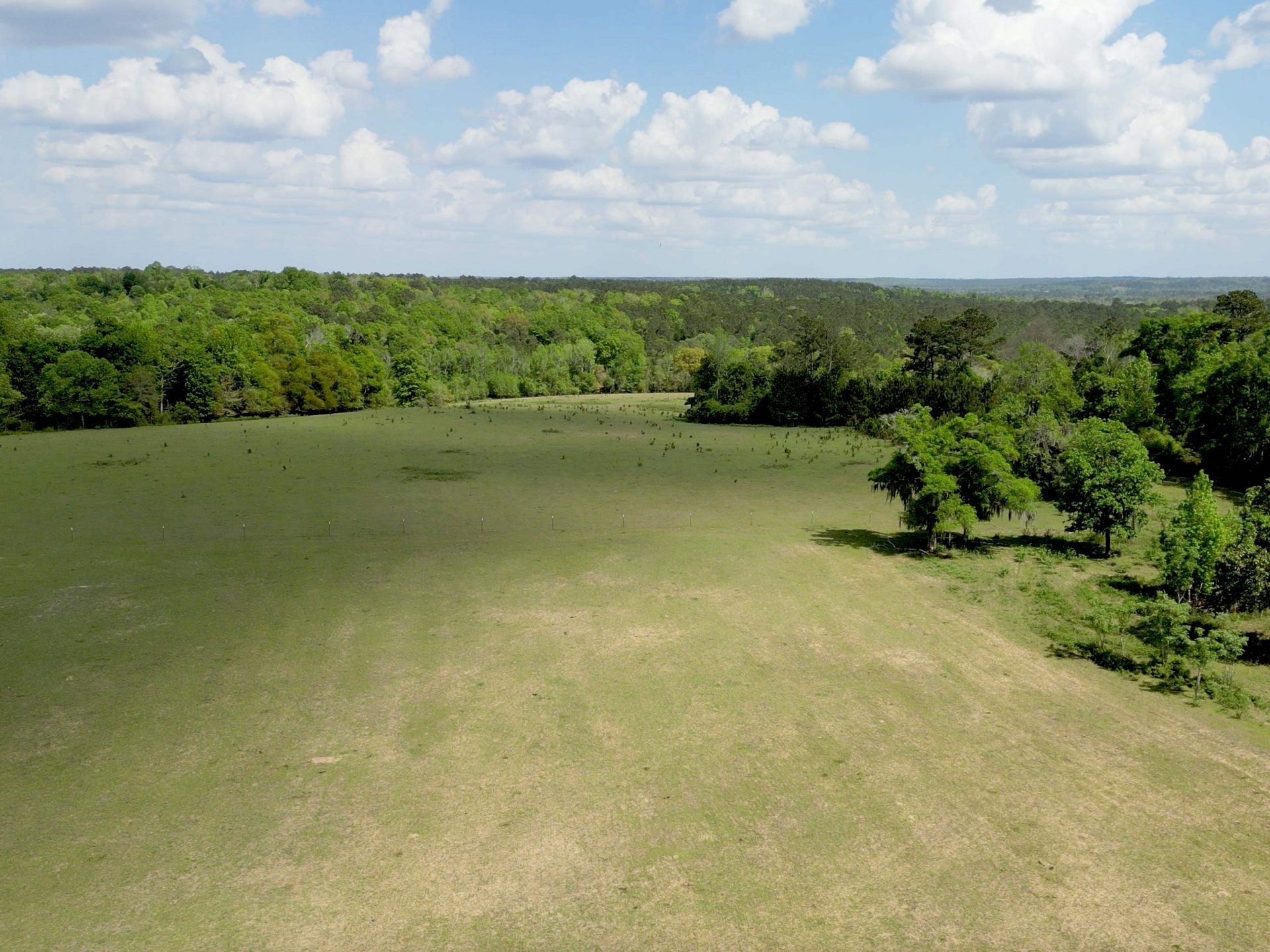 1328 O'connell Lane, Chipley, FL 32428 Photo