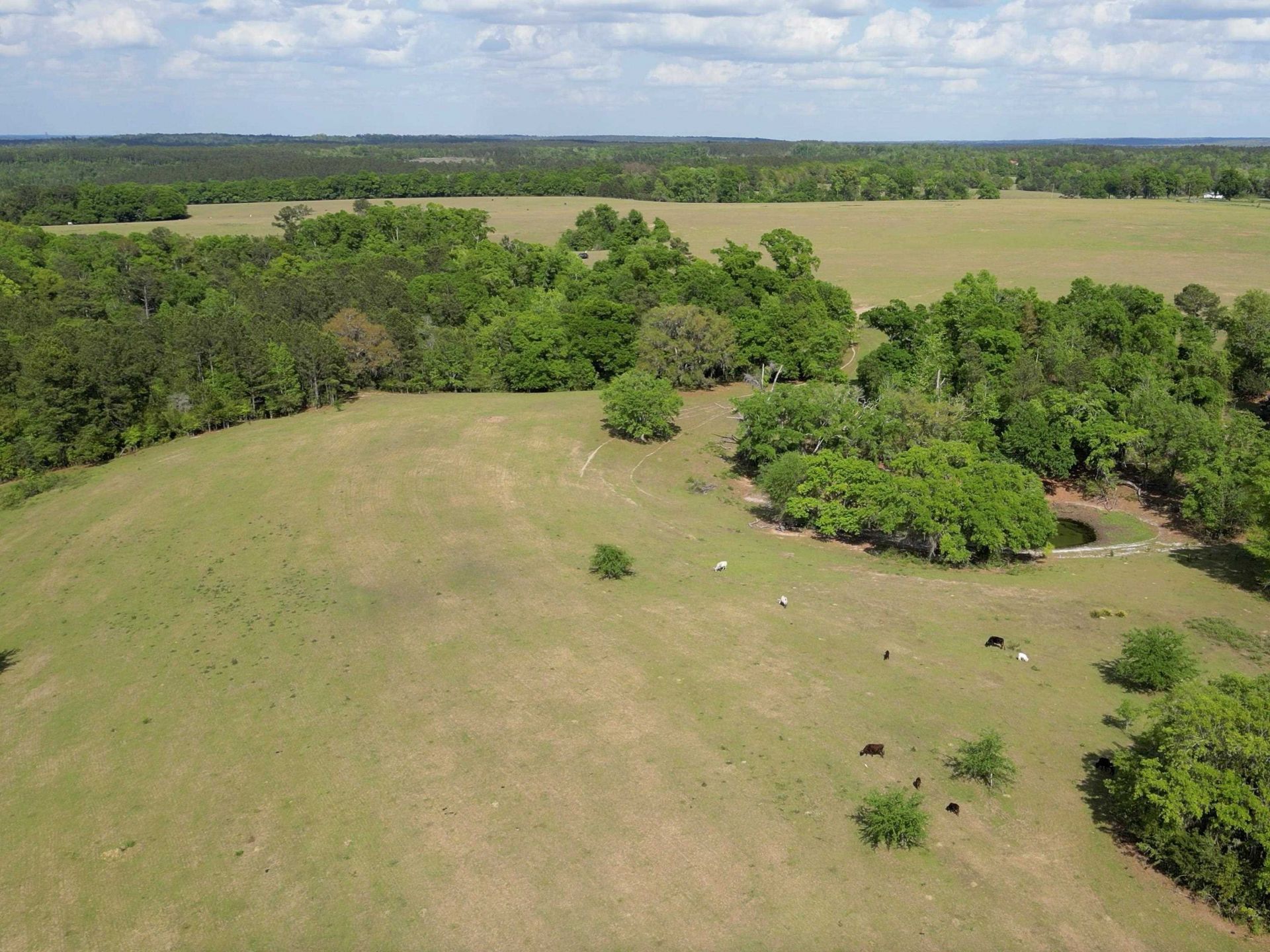 1328 O'connell Lane, Chipley, FL 32428 Photo
