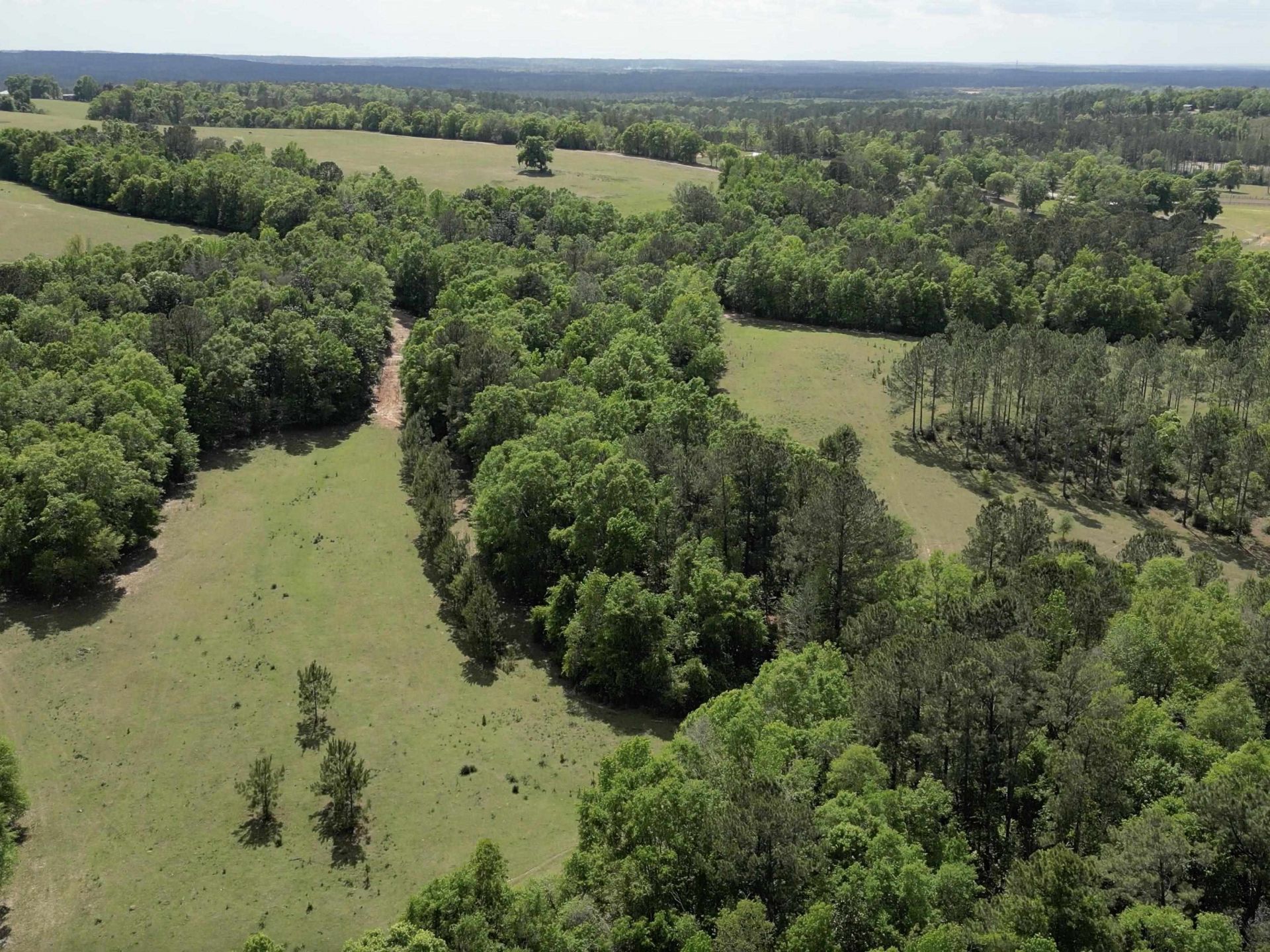 1328 O'connell Lane, Chipley, FL 32428 Photo