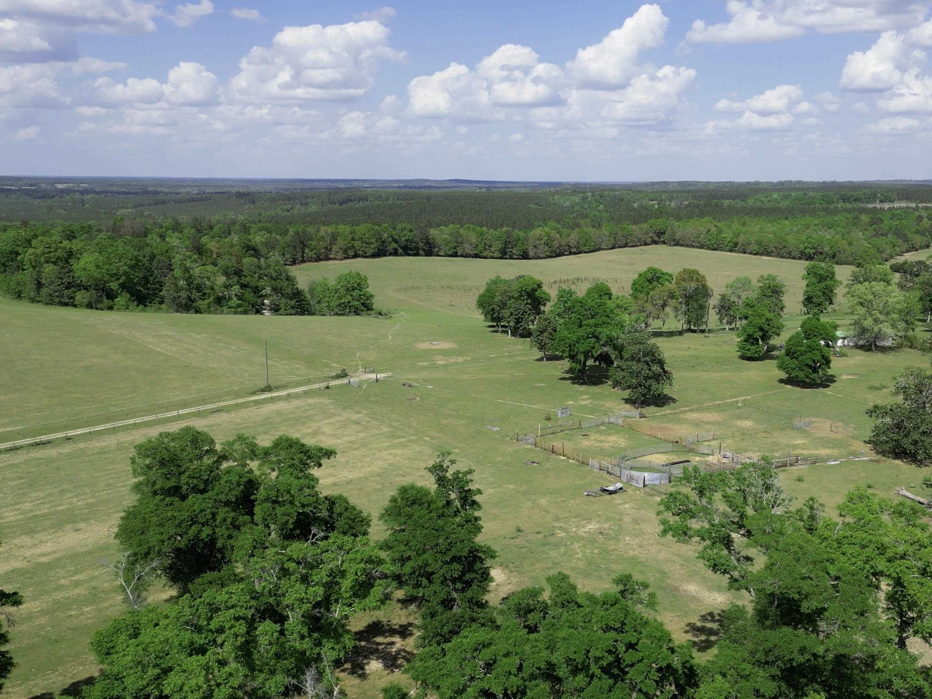1328 O'connell Lane, Chipley, FL 32428 Photo