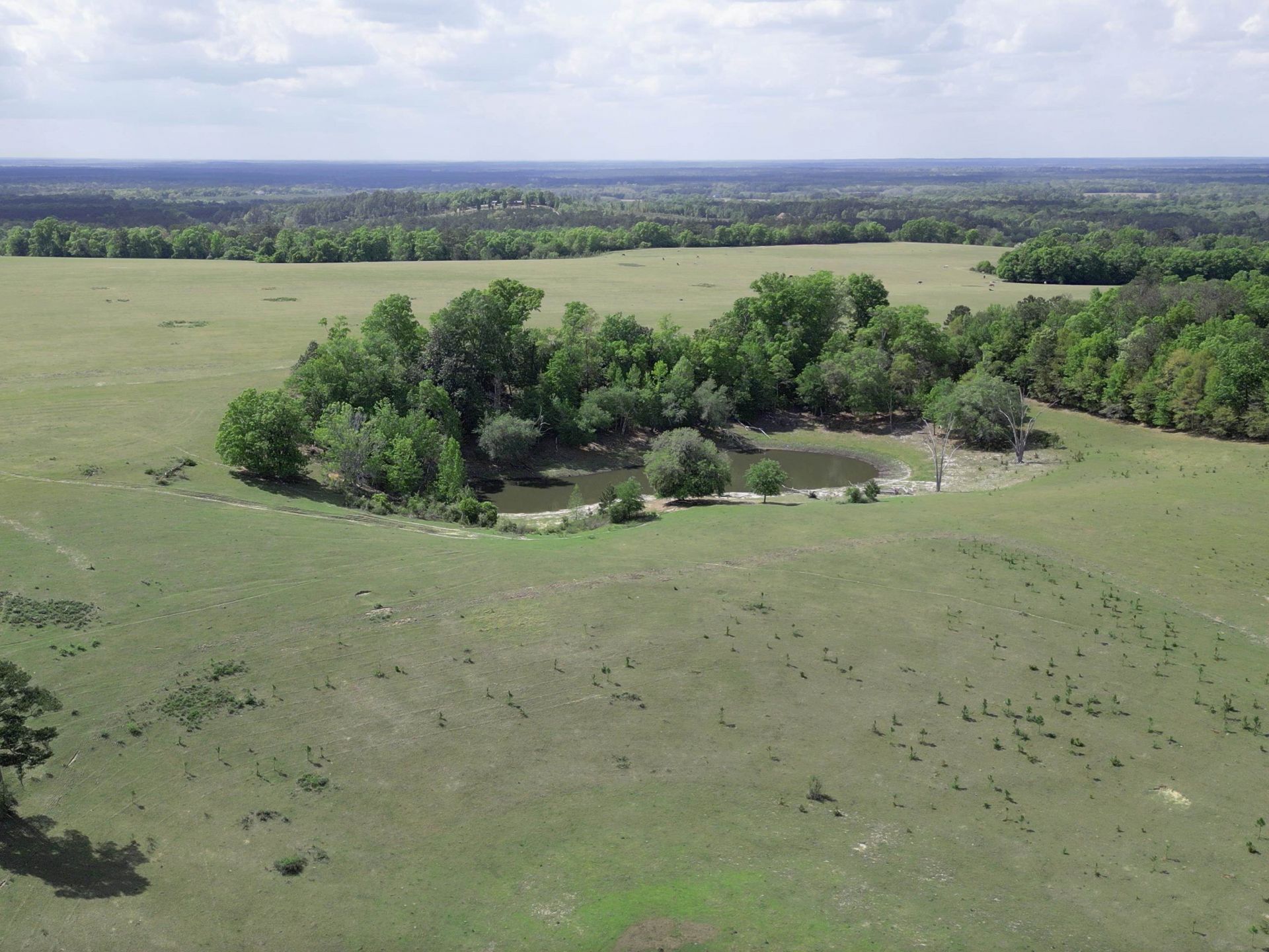 1328 O'connell Lane, Chipley, FL 32428 Photo