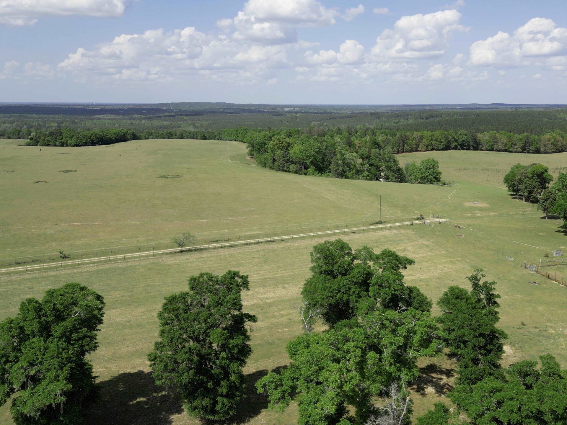 1328 O'connell Lane, Chipley, FL 32428 Photo
