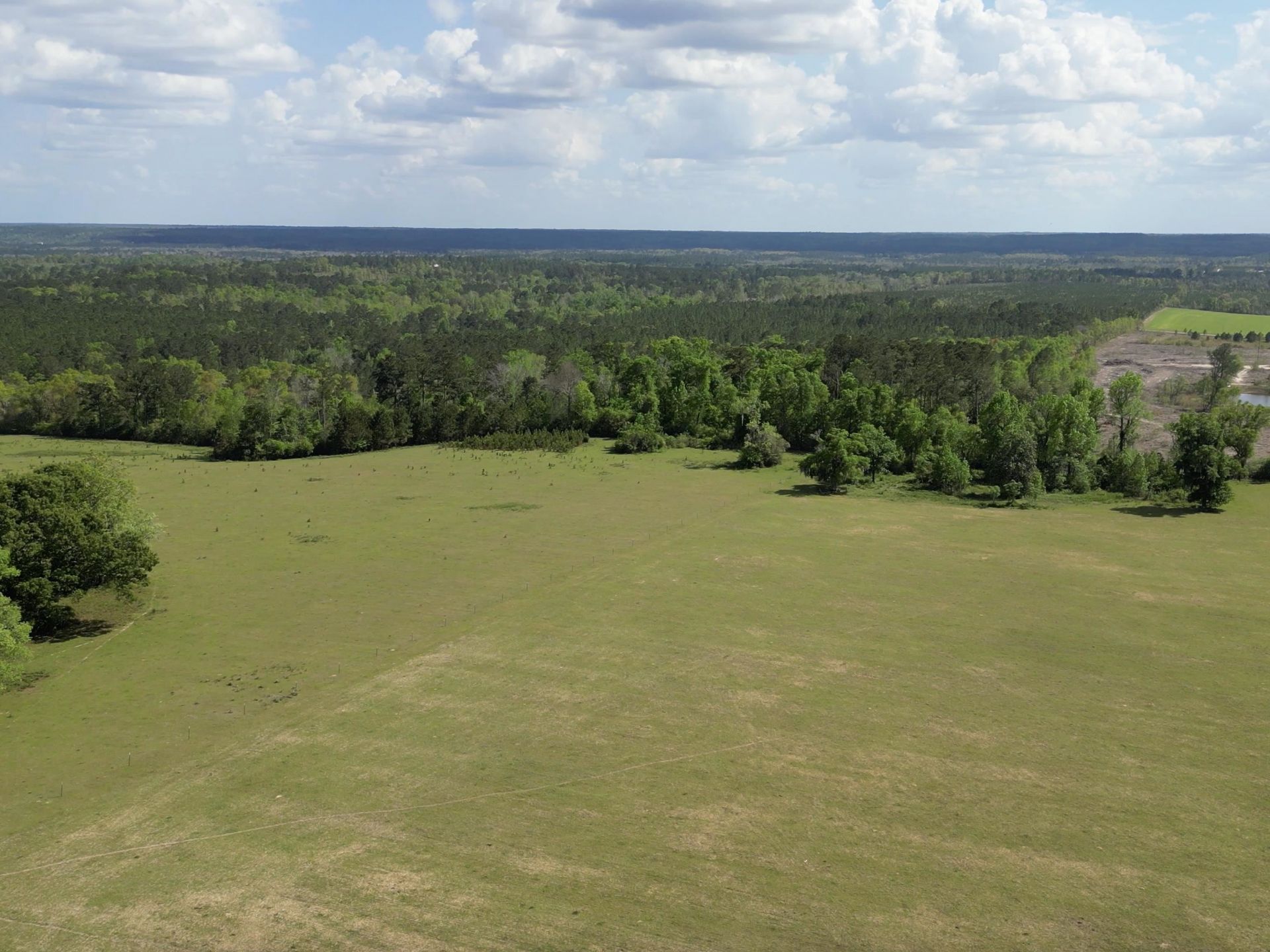 1328 O'connell Lane, Chipley, FL 32428 Photo