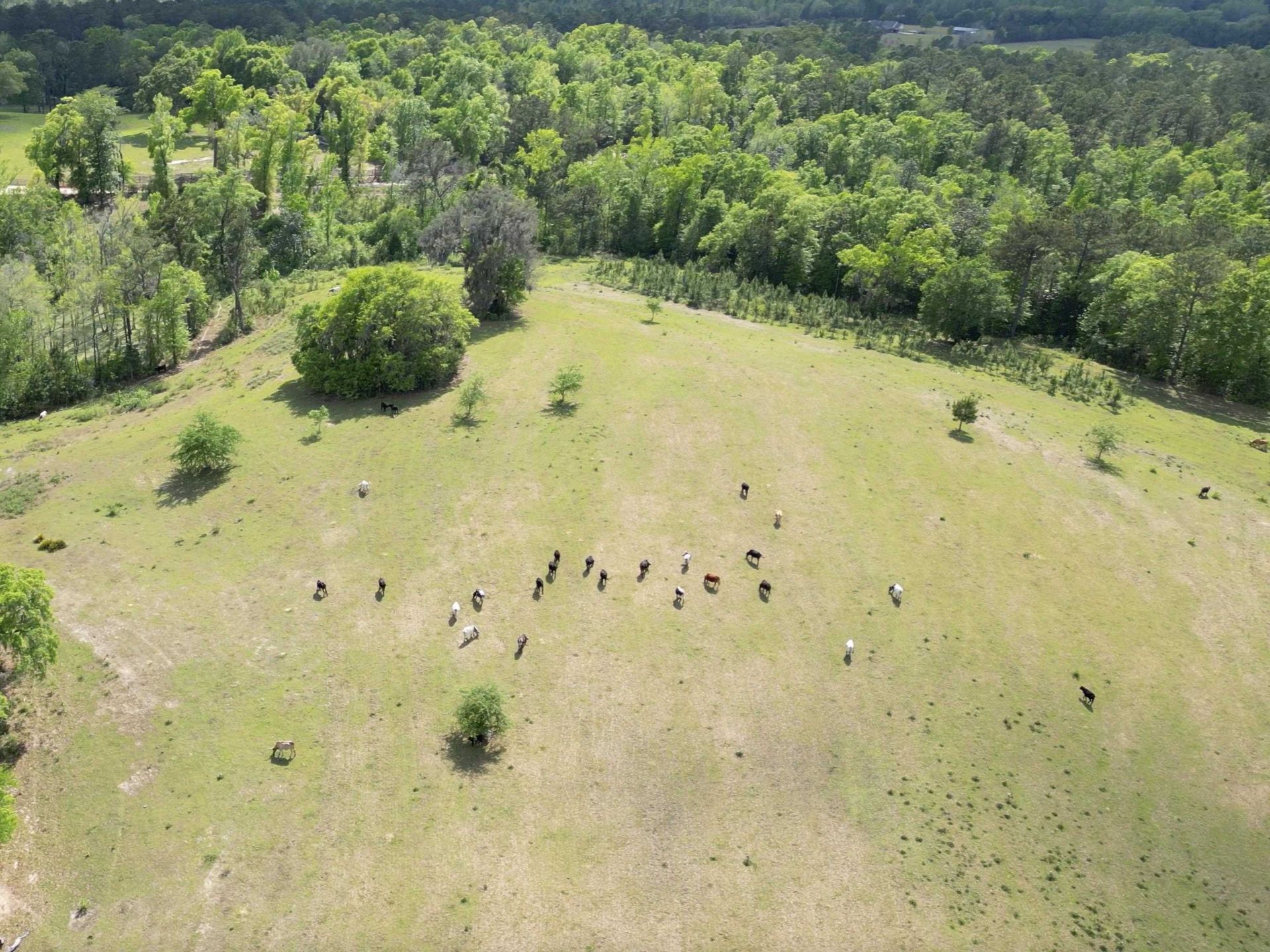 1328 O'connell Lane, Chipley, FL 32428 Photo