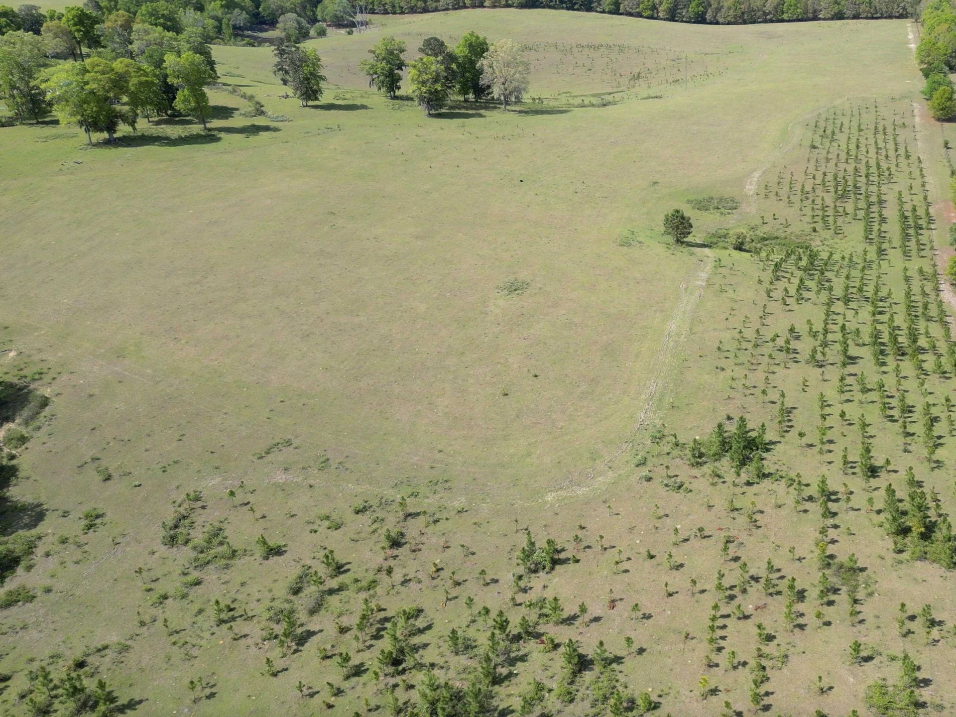 1328 O'connell Lane, Chipley, FL 32428 Photo