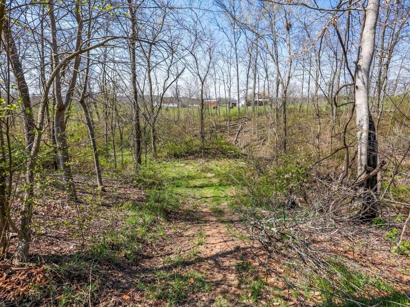 4502 Clover Road, Cumberland, OH 43732 Photo 23