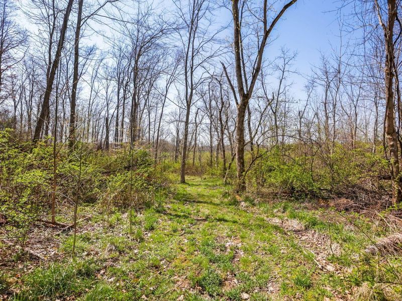 4502 Clover Road, Cumberland, OH 43732 Photo 24