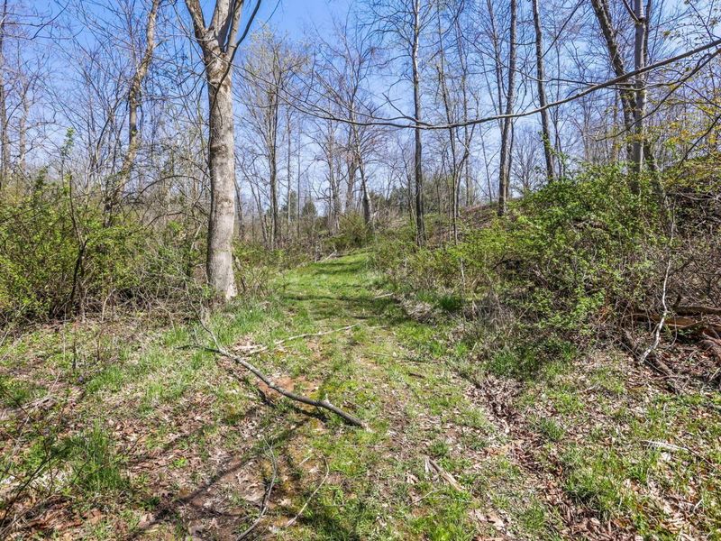 4502 Clover Road, Cumberland, OH 43732 Photo 25