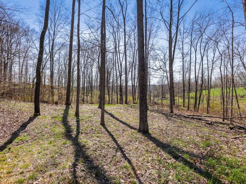 4502 Clover Road, Cumberland, OH 43732 Photo 26