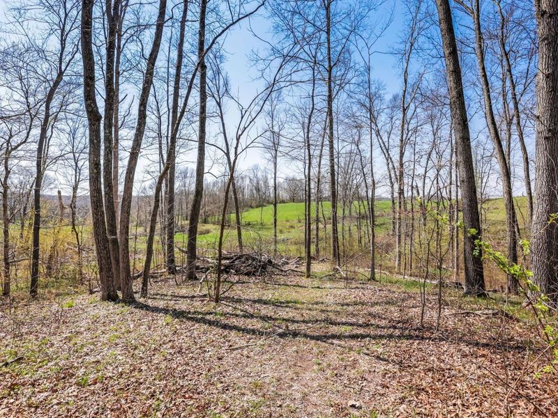 4502 Clover Road, Cumberland, OH 43732 Photo 27