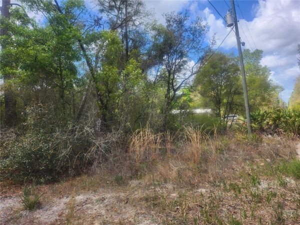 TBD NE 236 LANE, ORANGE SPRINGS, FL 32182