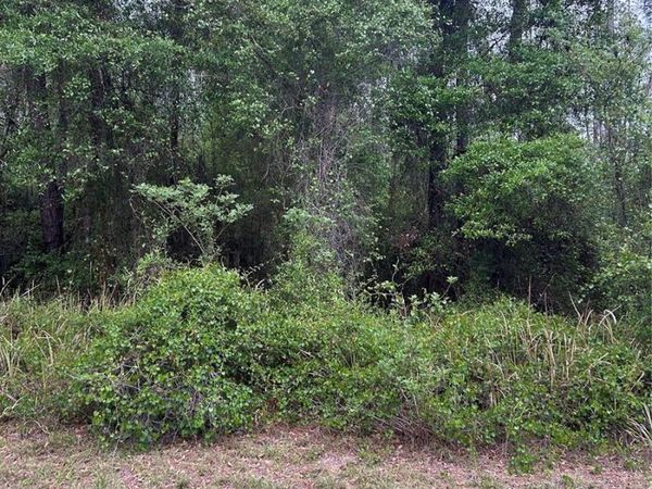 6265 N ALLSTON TERRACE , DUNNELLON, FL 34433