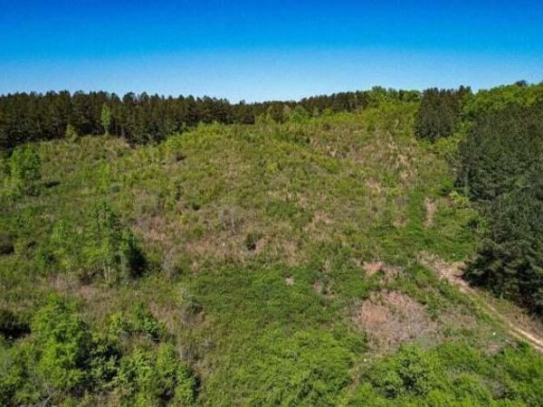 0 Sneed Road, Decatur, TN 37322