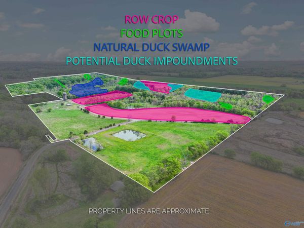 412 Targum Road, Hartselle, AL 35640