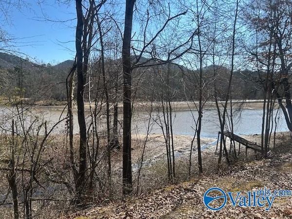 330 County Road 165, Cedar Bluff, AL 35959