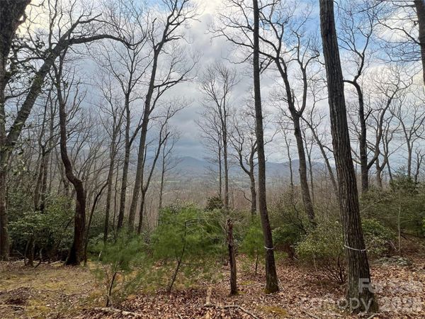 27 Deer Grass Court, Arden, NC 28704