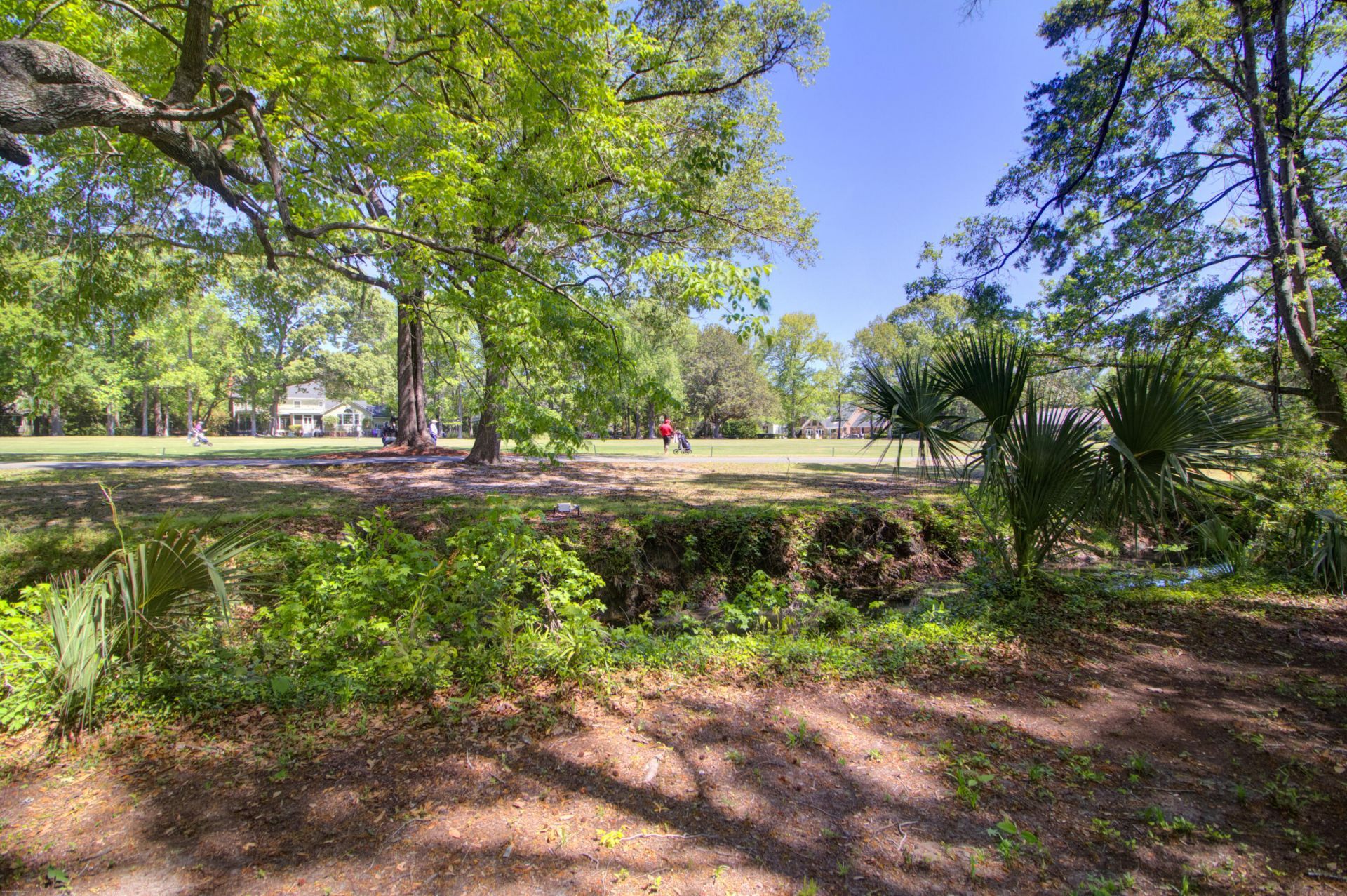 1120 Deleisseline Boulevard Photo 9