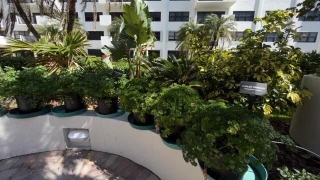 5100 N Ocean Boulevard, Unit 502, Lauderdale by the Sea, FL 33308 Photo