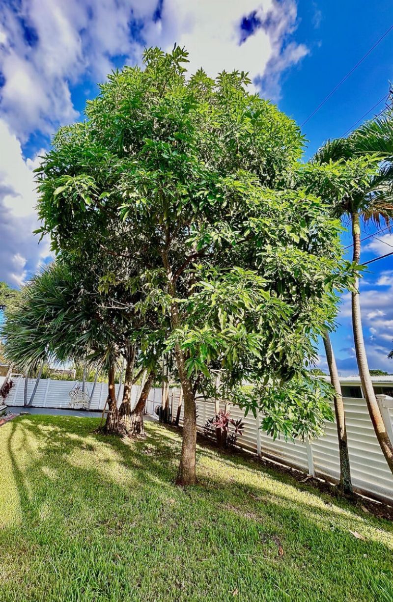 5408 Jackson Street, Hollywood, FL 33021 Photo