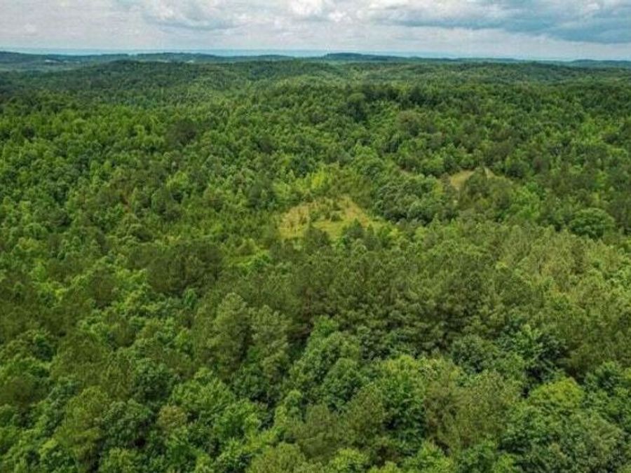 Property Image 19