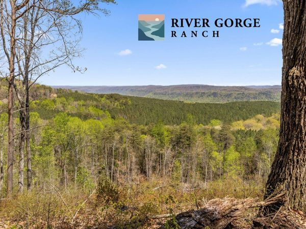 Lot 2225 High Ground Road, Guild, TN 37340