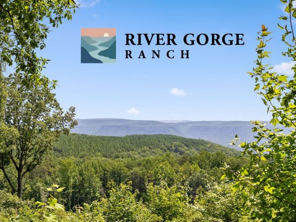 2225 High Ground Road, Guild, TN 37340