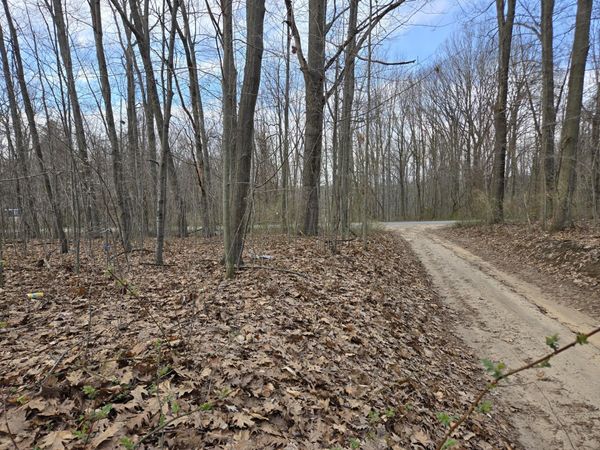 VL 8th Avenue, Grand Junction, MI 49056