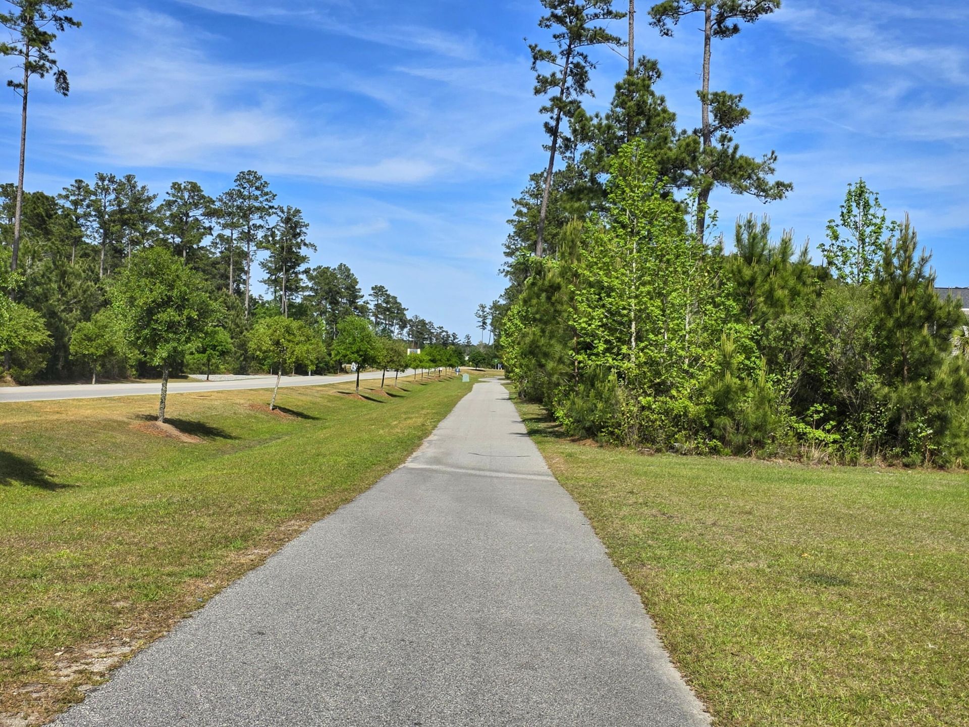 259 Lucca Drive Photo 48