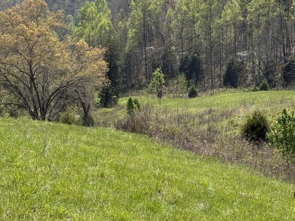 0000 Goshen Valley (65 acres) Road, Church Hill, TN 37642