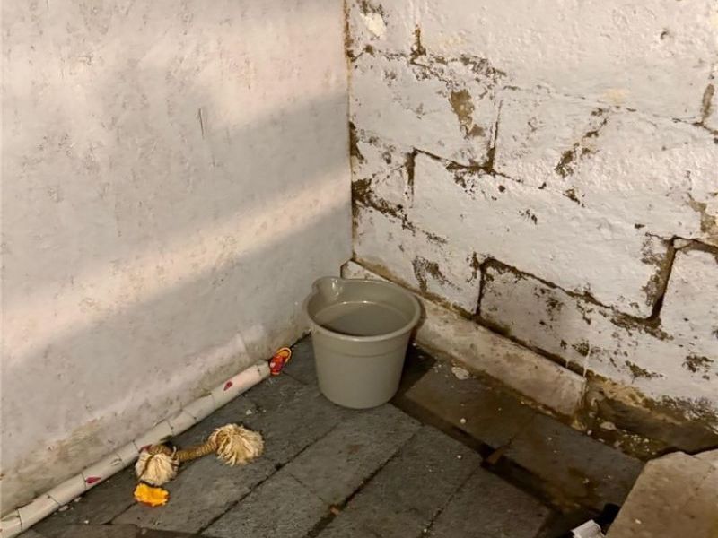 2901 E 102nd Street, Cleveland, OH 44104 Photo 10