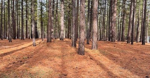 4955 Clio State 40a Road, Delleker, CA 96122 Photo