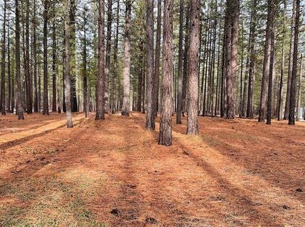 4955 Clio State 40a Road, Delleker, CA 96122 Photo