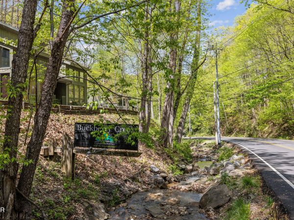 1228 Ski Mountain Road, Gatlinburg, TN 37738