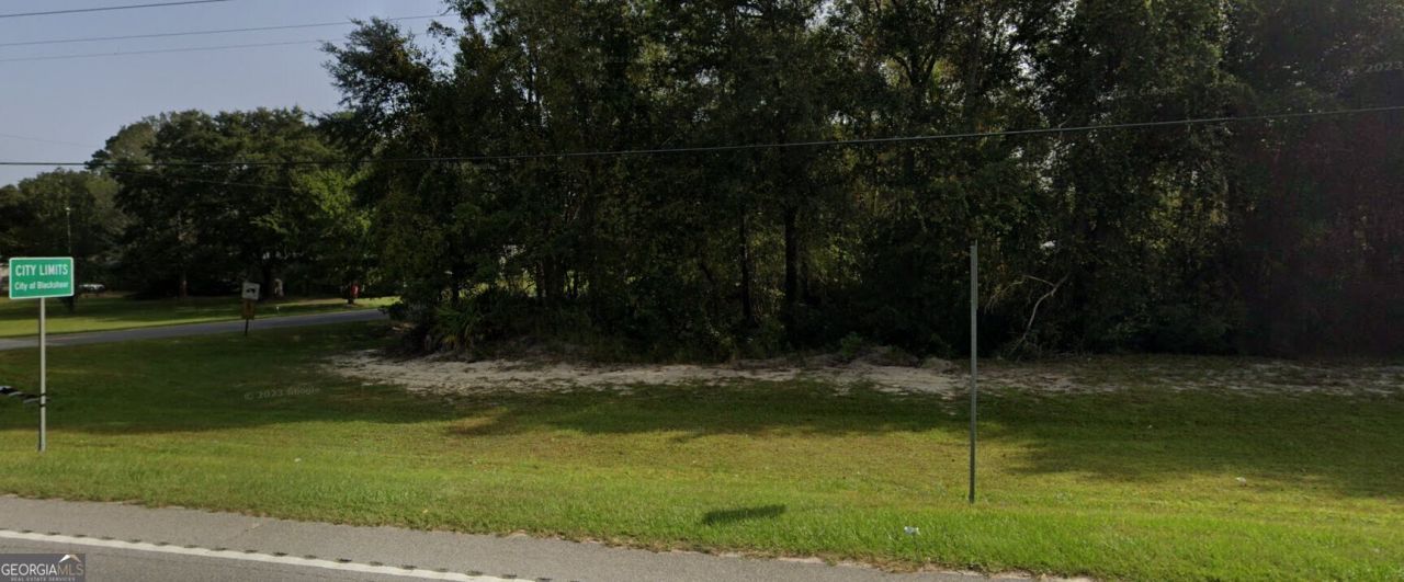 0 Highway 121/ Whispering Pines Trail, Blackshear, GA 31516 Main Photo