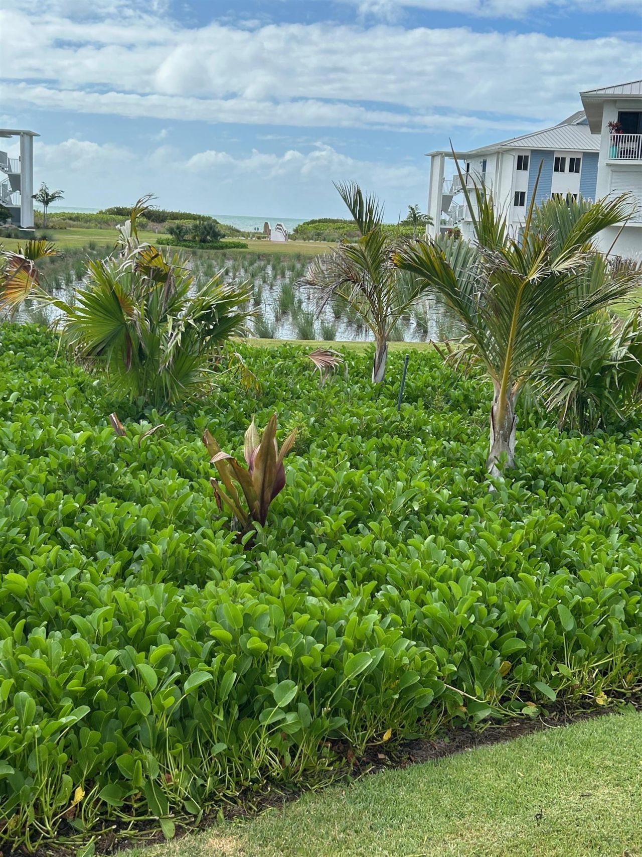 1341 Middle Gulf Dr, Unit 1A, Sanibel, FL 33957 Photo