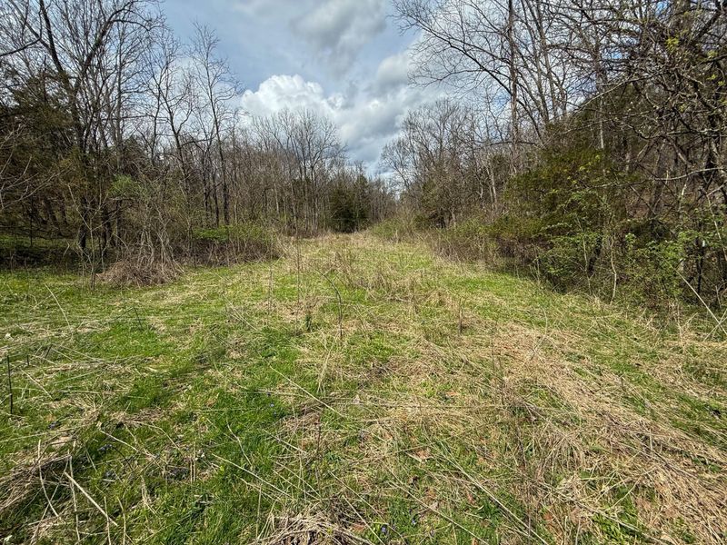 0 Ky-3103 Road, Owenton, KY 40359 Photo 21