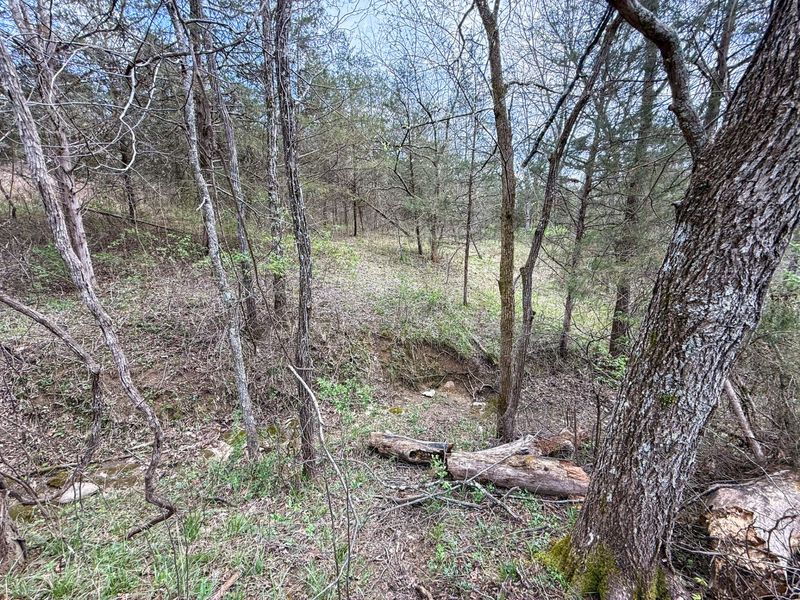 0 Ky-3103 Road, Owenton, KY 40359 Photo 23