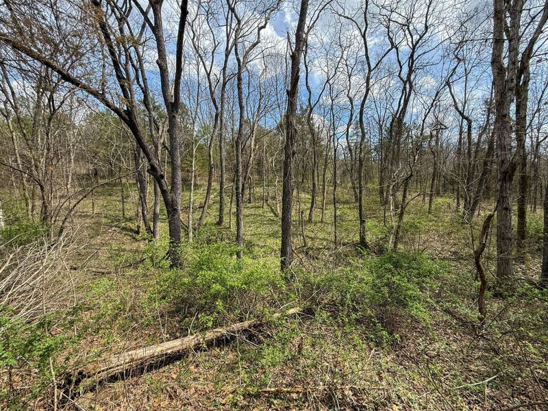 0 Ky-3103 Road, Owenton, KY 40359 Photo 24