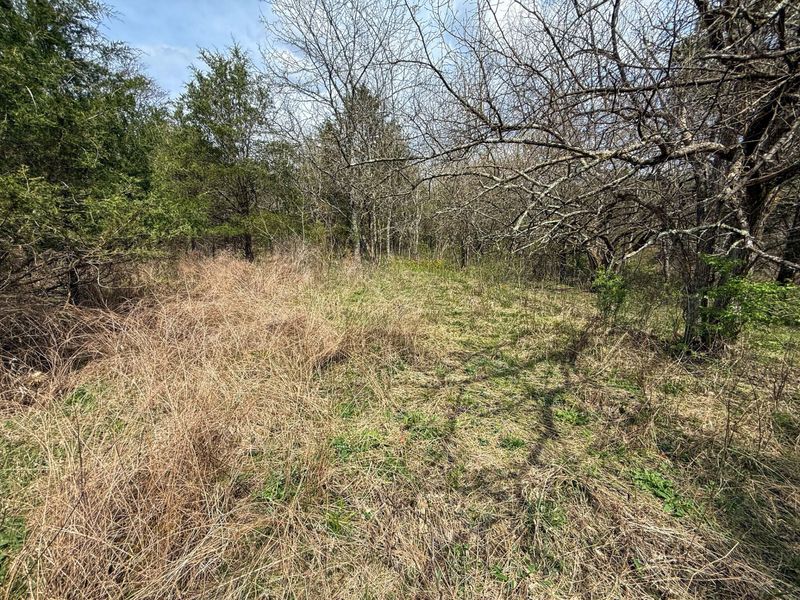 0 Ky-3103 Road, Owenton, KY 40359 Photo 25
