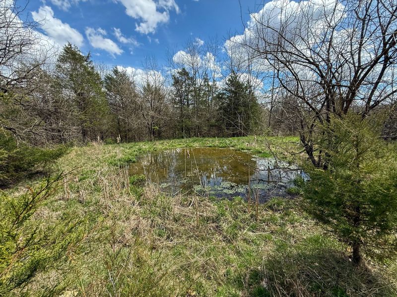 0 Ky-3103 Road, Owenton, KY 40359 Photo 3