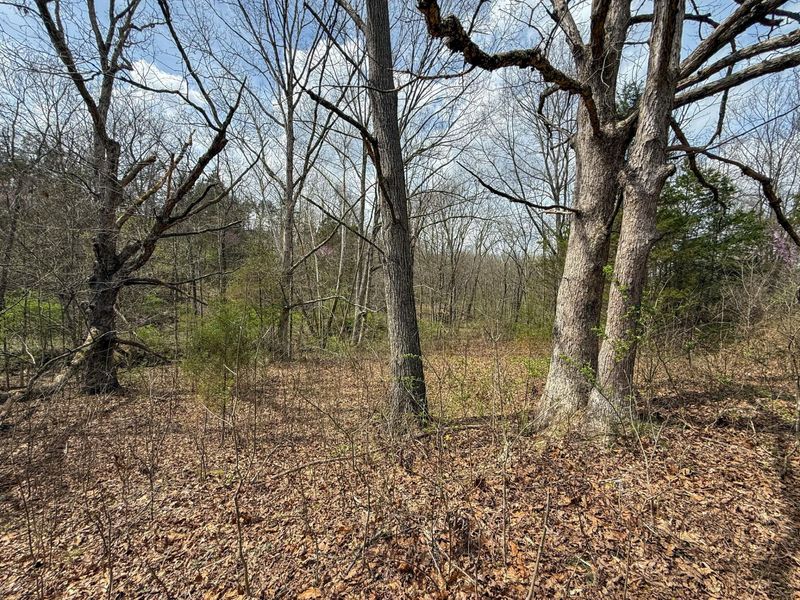 0 Ky-3103 Road, Owenton, KY 40359 Photo 5