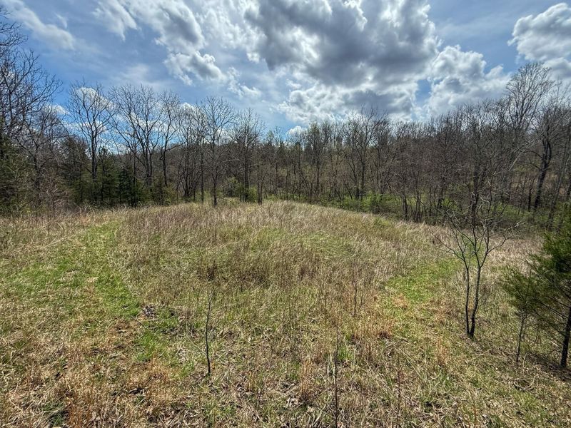 0 Ky-3103 Road, Owenton, KY 40359 Photo 6