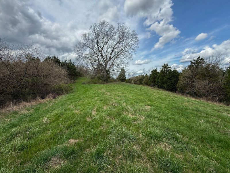 0 Ky-3103 Road, Owenton, KY 40359 Photo 7