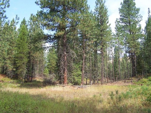 3XXX Lot #13 Larkspur Way, Kettle Falls, WA 99141