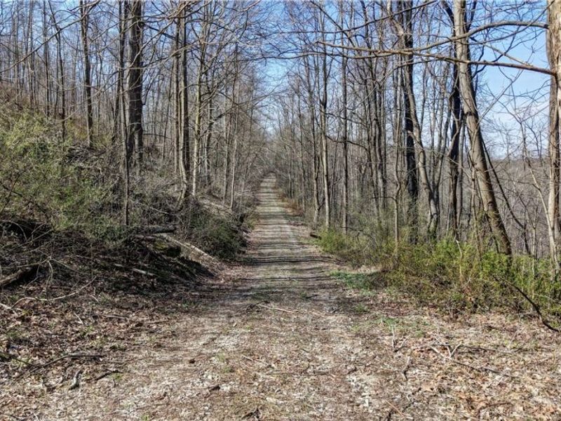 Township Road 262, Kimbolton, OH 43749 Photo 26