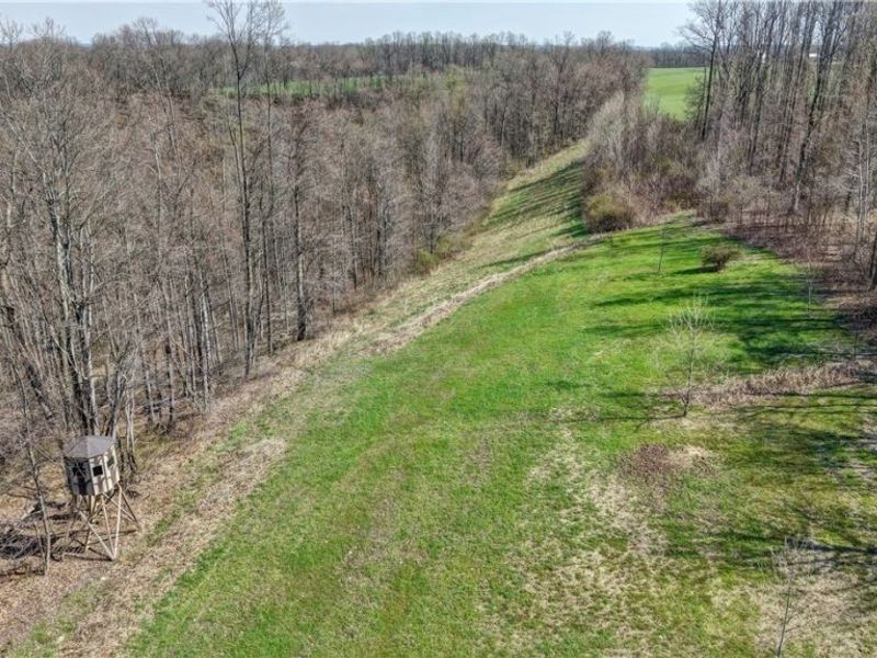 Township Road 262, Kimbolton, OH 43749 Photo 27