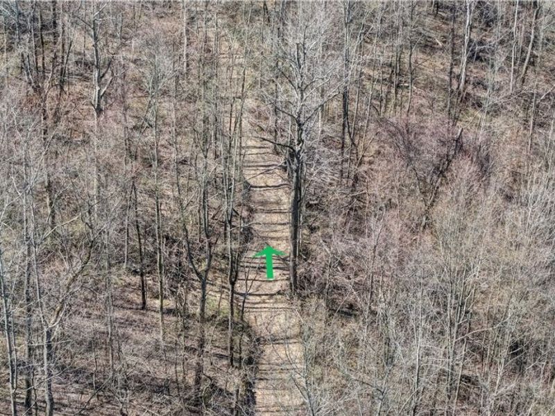 Township Road 262, Kimbolton, OH 43749 Photo 28