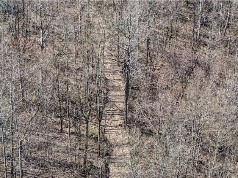 Township Road 262, Kimbolton, OH 43749 Photo 29