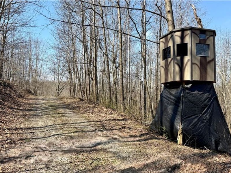 Township Road 262, Kimbolton, OH 43749 Photo 30