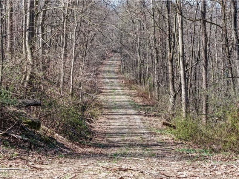 Township Road 262, Kimbolton, OH 43749 Photo 34